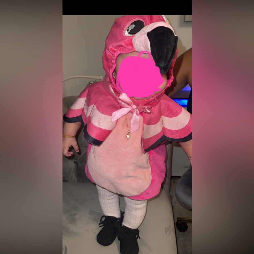Pink flamenco baby costume 3-9 months